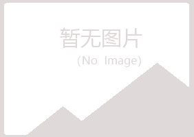 南山区忆山能源有限公司